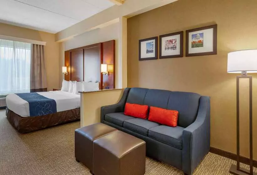 酒店 Comfort Suites Manassas Battlefield Park