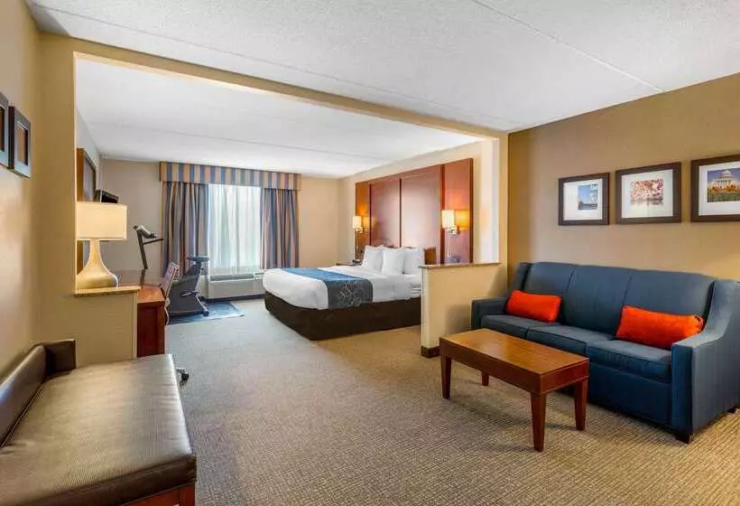 酒店 Comfort Suites Manassas Battlefield Park