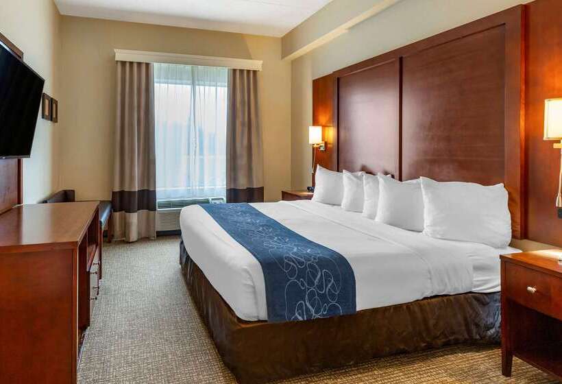 فندق Comfort Suites Manassas Battlefield Park