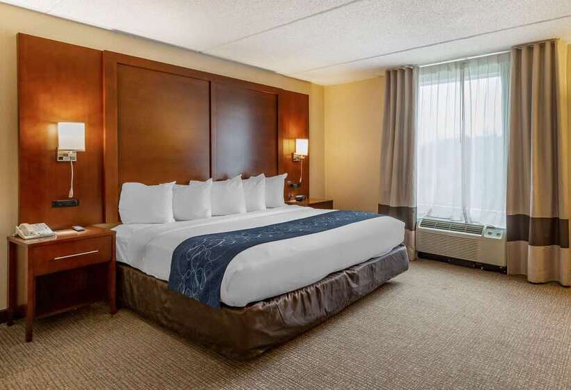 فندق Comfort Suites Manassas Battlefield Park