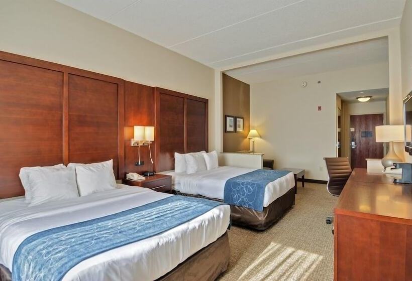 فندق Comfort Suites Manassas Battlefield Park