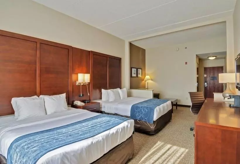 酒店 Comfort Suites Manassas Battlefield Park