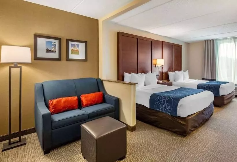 酒店 Comfort Suites Manassas Battlefield Park