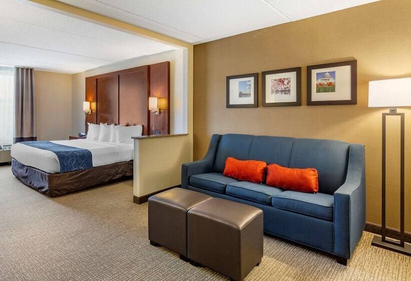 فندق Comfort Suites Manassas Battlefield Park