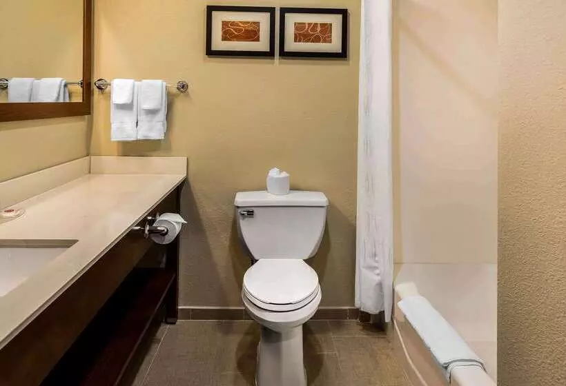 酒店 Comfort Suites San Jose Airport