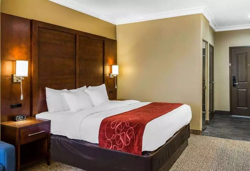 酒店 Comfort Suites San Jose Airport