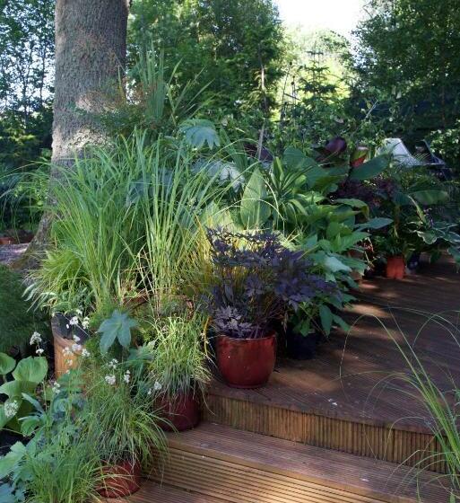 酒店 Home Farm Bed And Breakfast