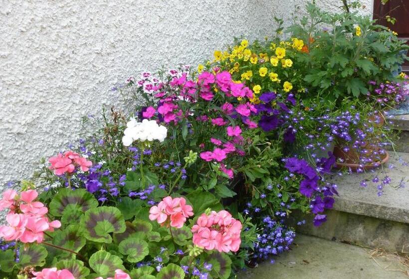 בית מלון כפרי Home Farm Bed And Breakfast