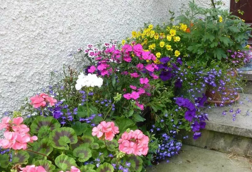 בית מלון כפרי Home Farm Bed And Breakfast