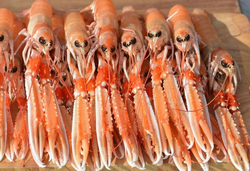 酒店 Home Farm Bed And Breakfast