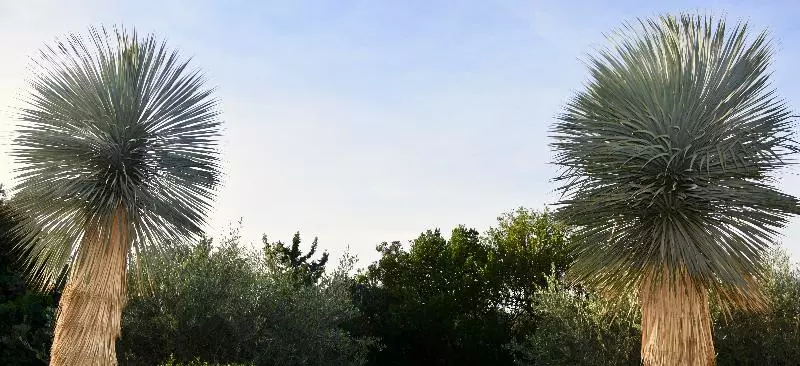 Отель Pervanovo Apartments