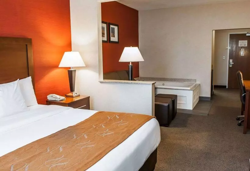 ホテル Quality Suites Ne Indianapolis Fishers