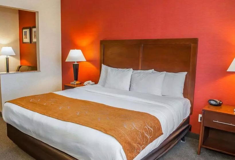 ホテル Quality Suites Ne Indianapolis Fishers