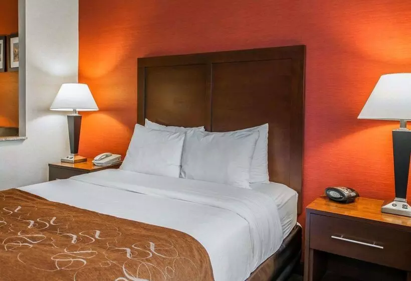 ホテル Quality Suites Ne Indianapolis Fishers