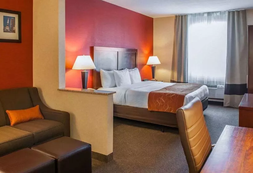 ホテル Quality Suites Ne Indianapolis Fishers