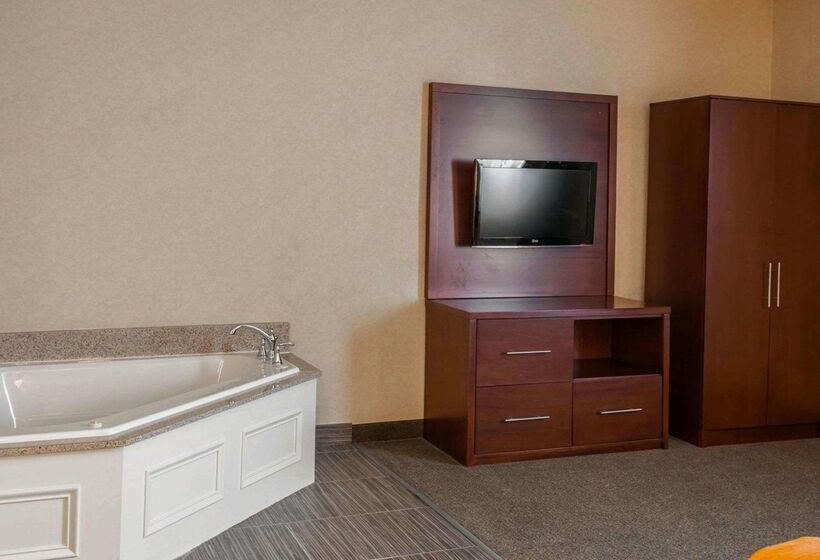 هتل Quality Suites Ne Indianapolis Fishers