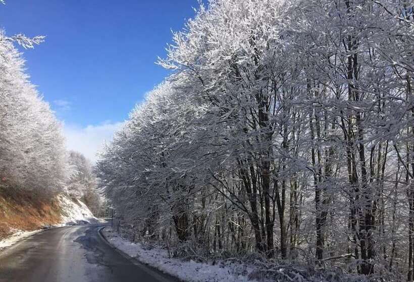 ホテル Agios Germanos