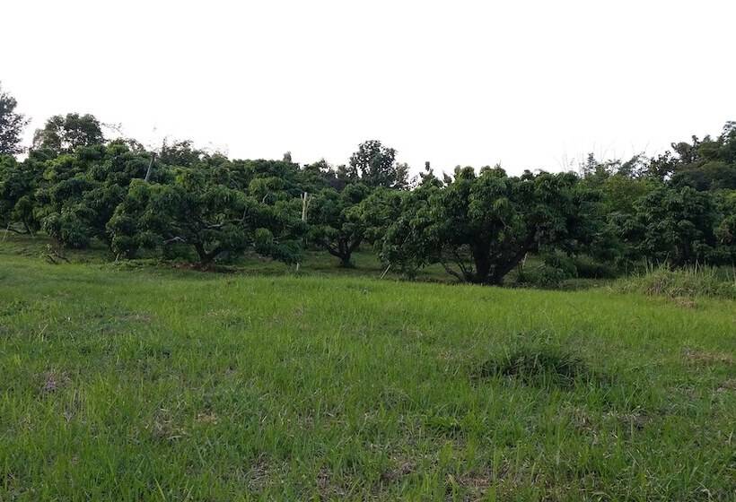 בית מלון כפרי Baan Saun Homestay By Lamyai Khunmae