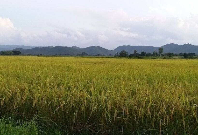 בית מלון כפרי Baan Saun Homestay By Lamyai Khunmae