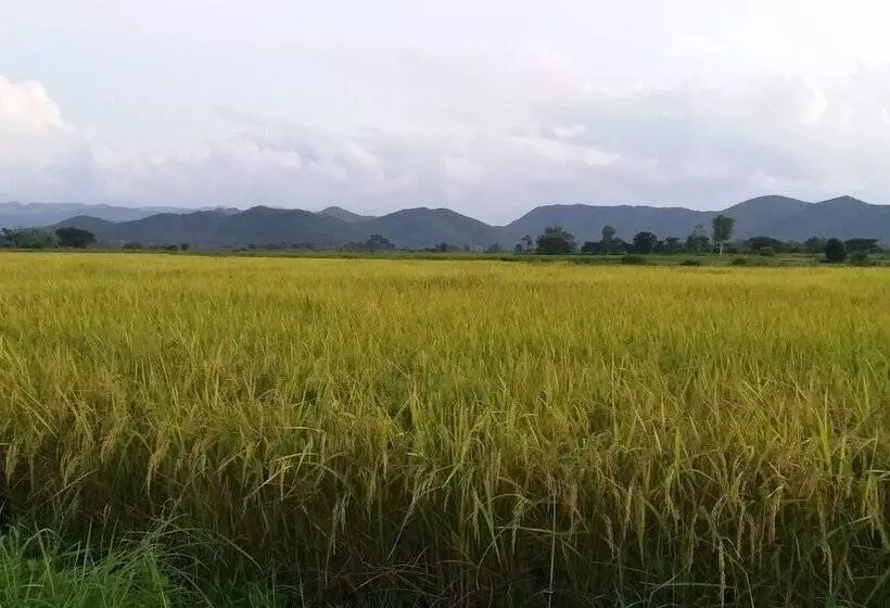 هتل Baan Saun Homestay By Lamyai Khunmae