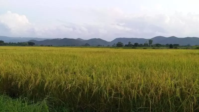 هتل Baan Saun Homestay By Lamyai Khunmae