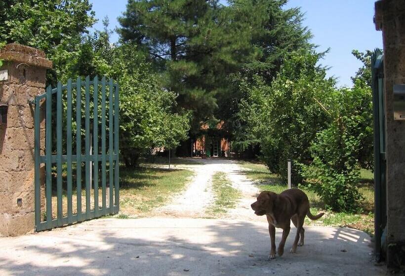 Отель B&b Monticelli