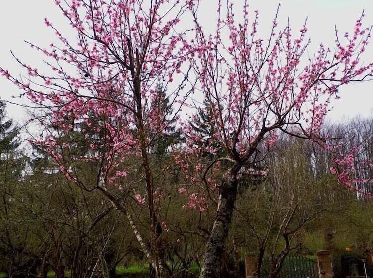 Отель B&b Monticelli