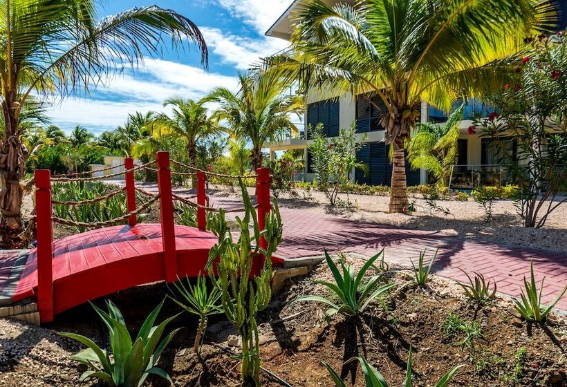 Отель Delfins Beach Resort Bonaire, Tapestry Collection By Hilton