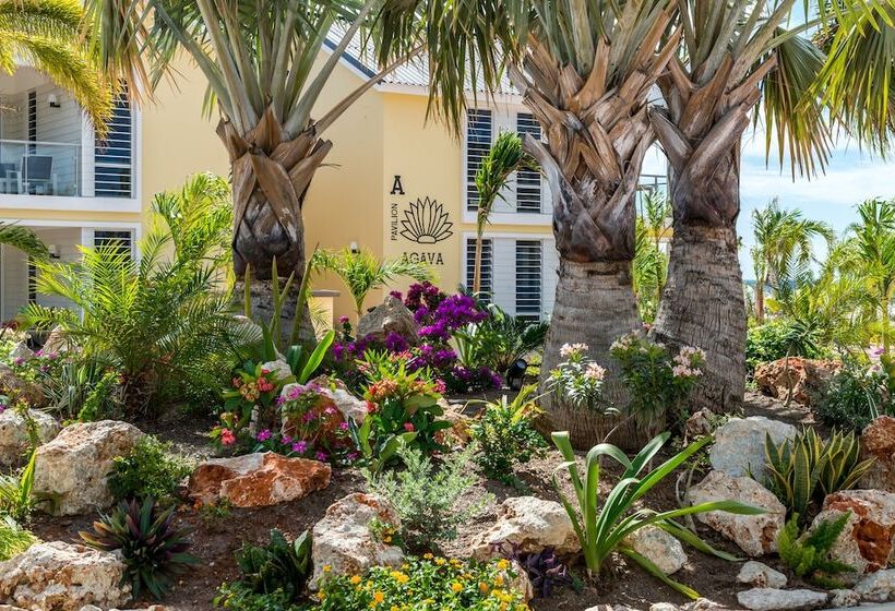 Отель Delfins Beach Resort Bonaire, Tapestry Collection By Hilton