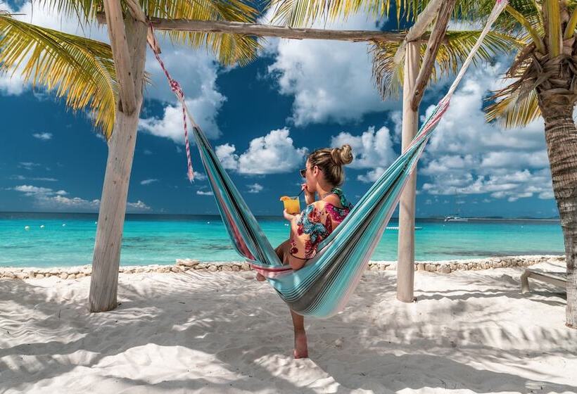 Отель Delfins Beach Resort Bonaire, Tapestry Collection By Hilton