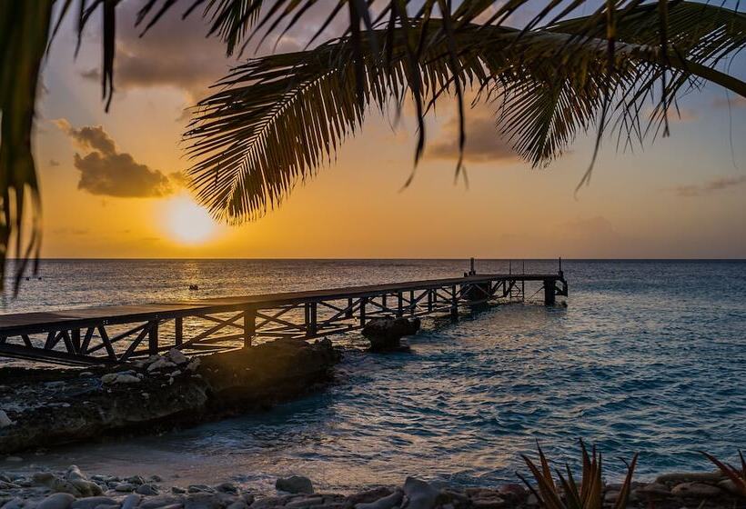 Отель Delfins Beach Resort Bonaire, Tapestry Collection By Hilton