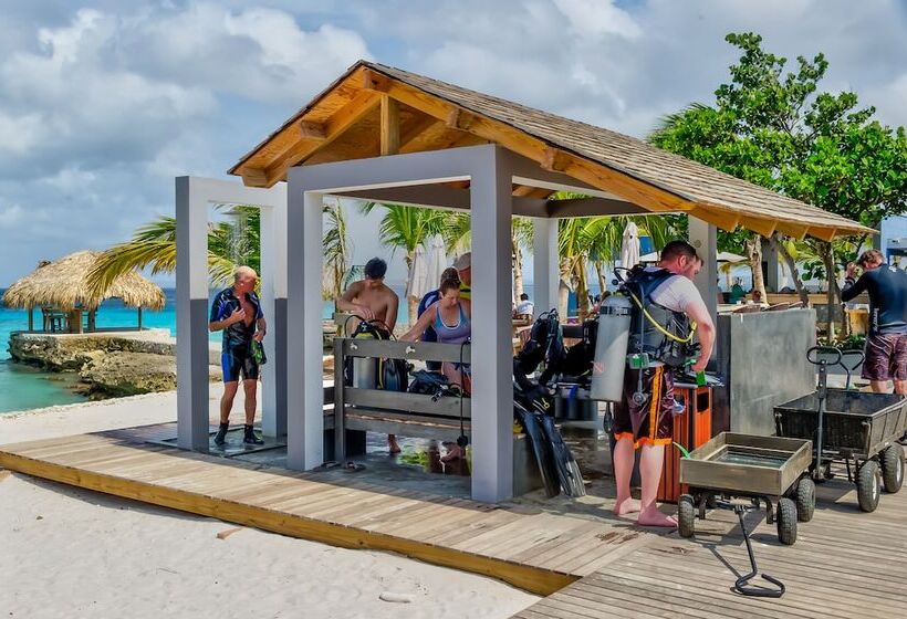Отель Delfins Beach Resort Bonaire, Tapestry Collection By Hilton