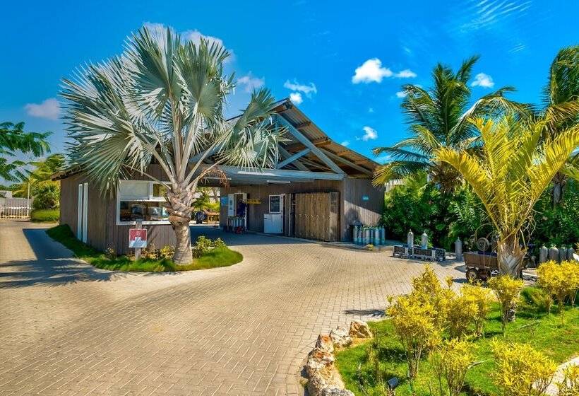 Отель Delfins Beach Resort Bonaire, Tapestry Collection By Hilton