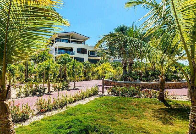 Отель Delfins Beach Resort Bonaire, Tapestry Collection By Hilton