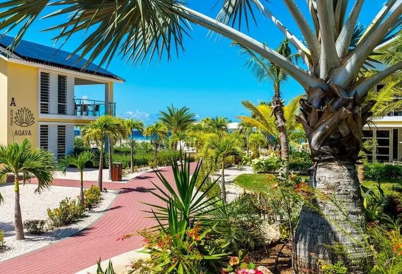 هتل Delfins Beach Resort Bonaire, Tapestry Collection By Hilton