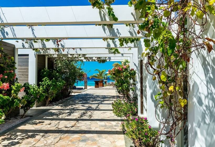 Отель Delfins Beach Resort Bonaire, Tapestry Collection By Hilton