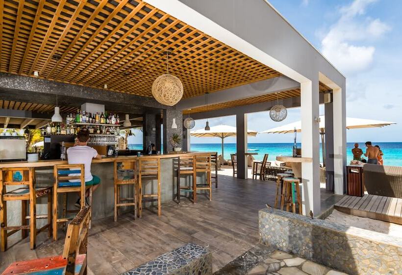 Отель Delfins Beach Resort Bonaire, Tapestry Collection By Hilton