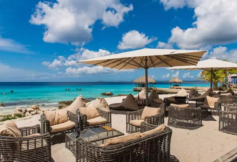 هتل Delfins Beach Resort Bonaire, Tapestry Collection By Hilton
