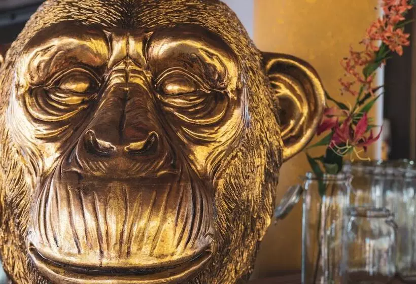 هتل Delfins Beach Resort Bonaire, Tapestry Collection By Hilton