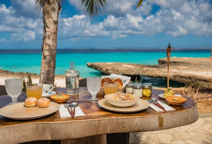 Отель Delfins Beach Resort Bonaire, Tapestry Collection By Hilton