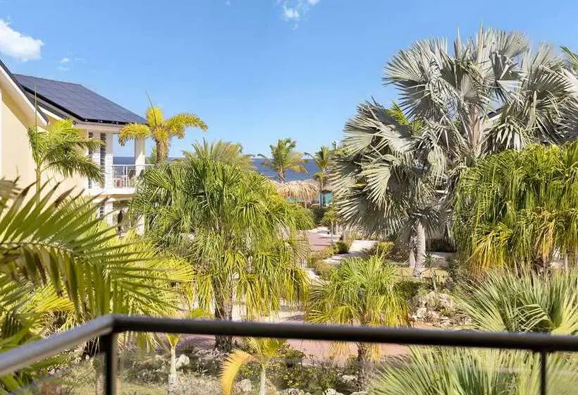هتل Delfins Beach Resort Bonaire, Tapestry Collection By Hilton
