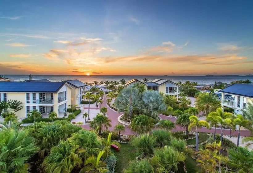 هتل Delfins Beach Resort Bonaire, Tapestry Collection By Hilton