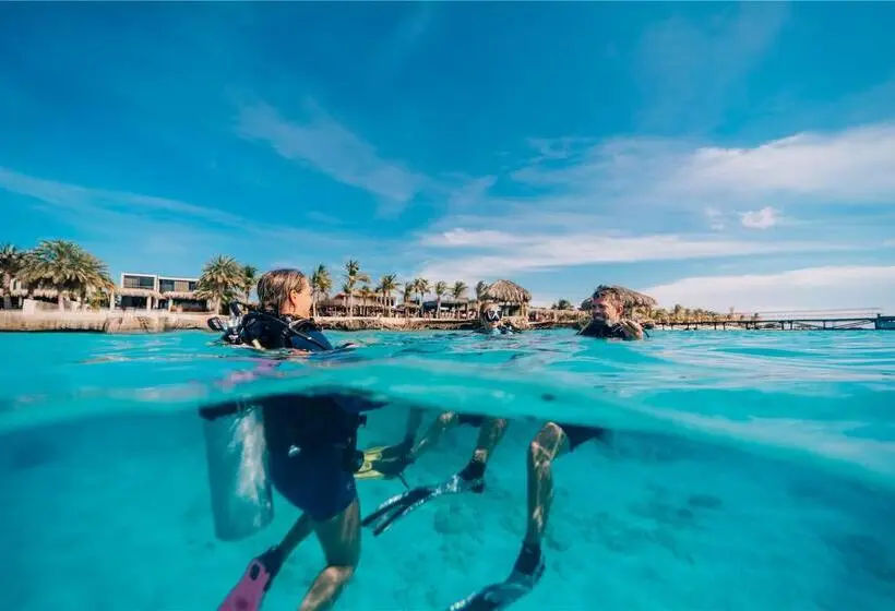 هتل Delfins Beach Resort Bonaire, Tapestry Collection By Hilton