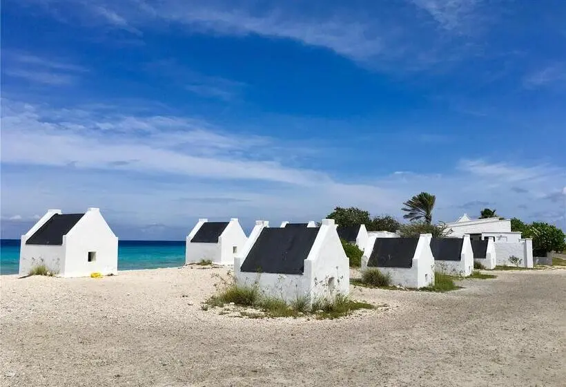 هتل Delfins Beach Resort Bonaire, Tapestry Collection By Hilton