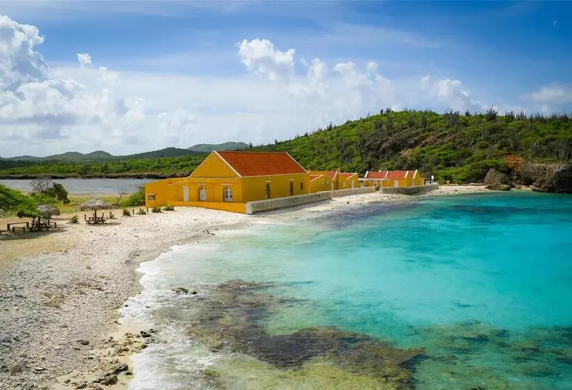 هتل Delfins Beach Resort Bonaire, Tapestry Collection By Hilton
