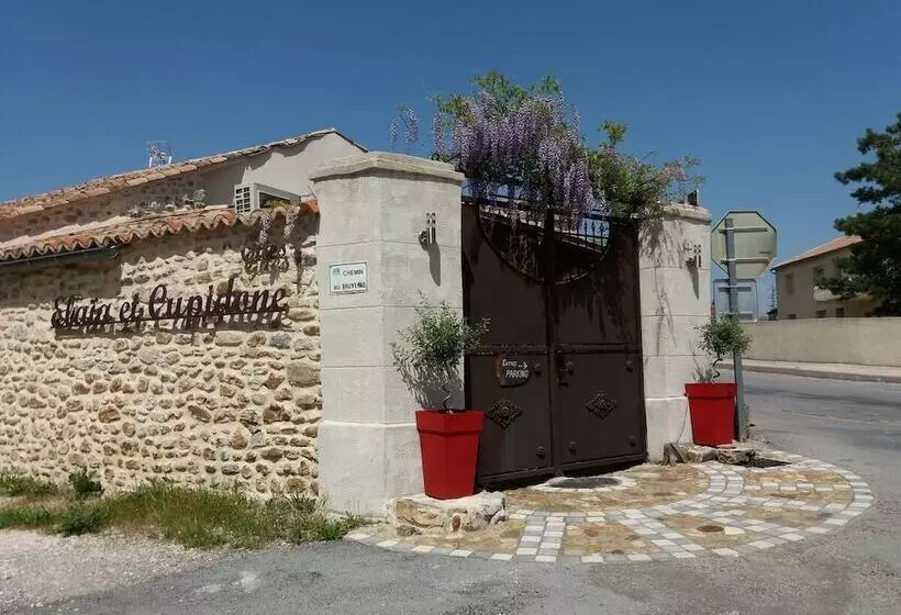 Otel Cupidone