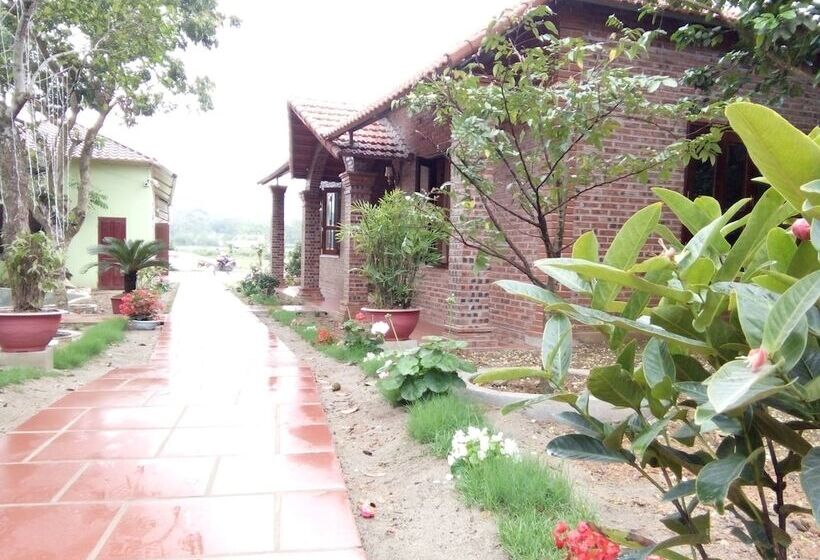 Hotel Ninh Bình Friendly Homestay