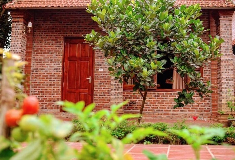 Hotel Ninh Bình Friendly Homestay