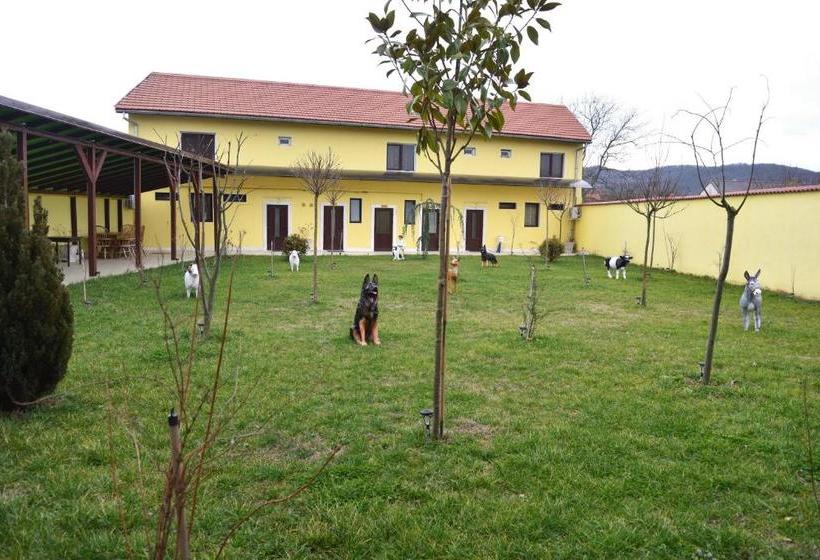 هاستل Casa Simescu Ii