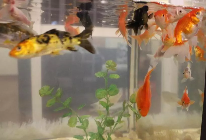 Majatalo Blossomwell Bungalow